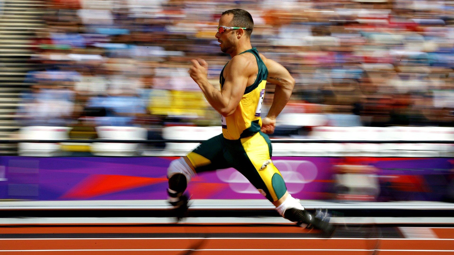 “2025世界运动会：高新体育中心武术选手拼技巧，精彩绝伦”