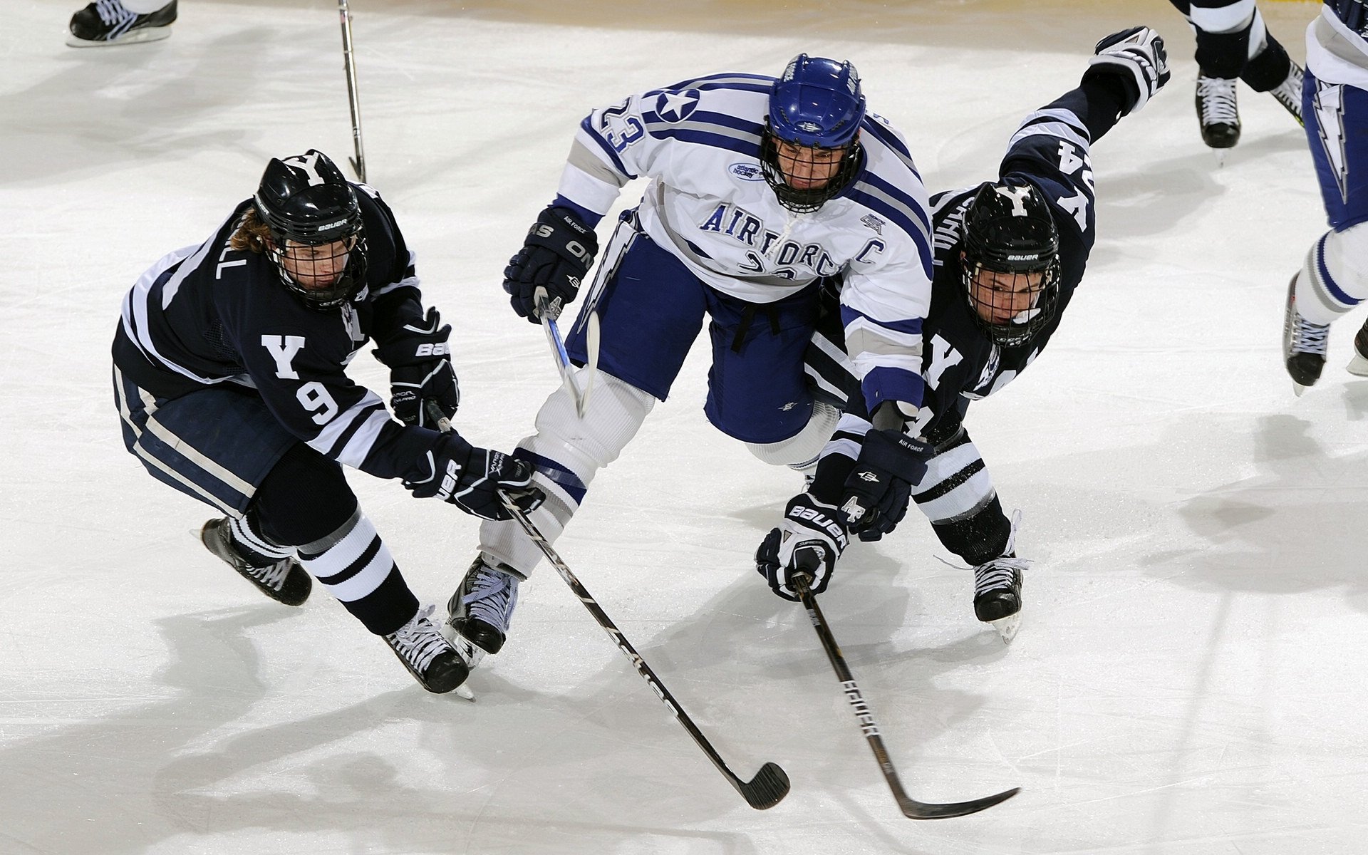 城市马拉松公益性质增强，公益马拉松的意义